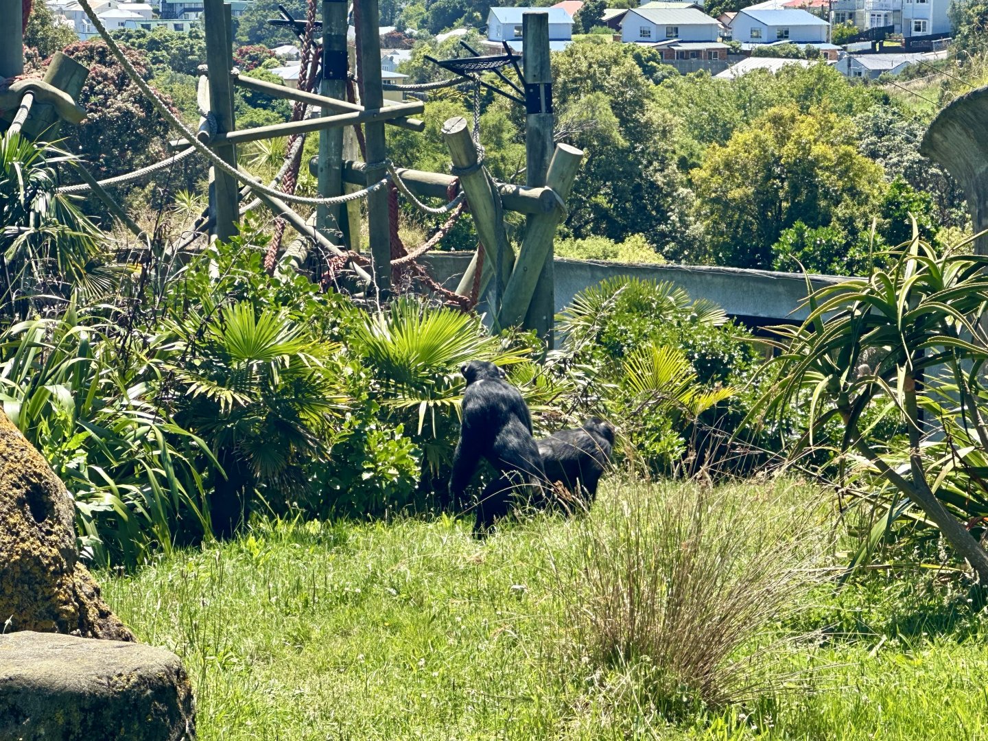 Bakari and Kitwe (Patrolling)