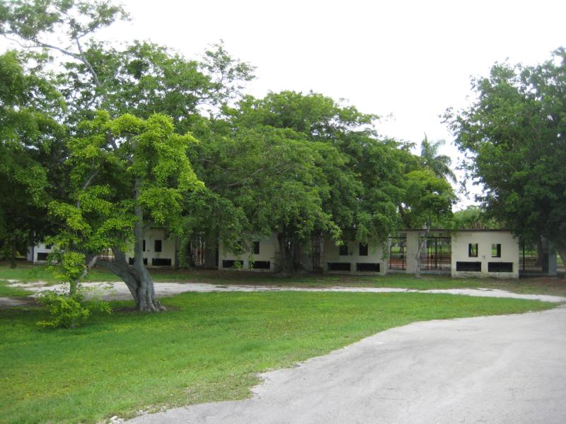 Bakcside of Big Cat cages