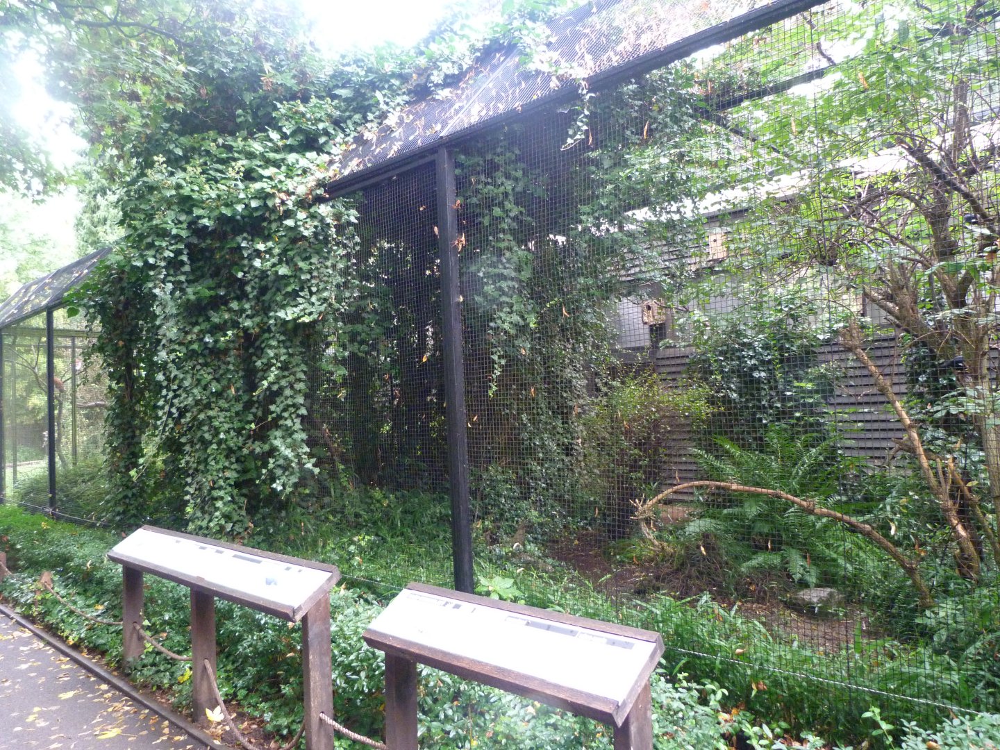 Bakcside of the Pheasantry -Zoo Praha (2025)