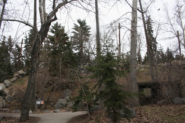 Bald and Golden Eagle Aviary