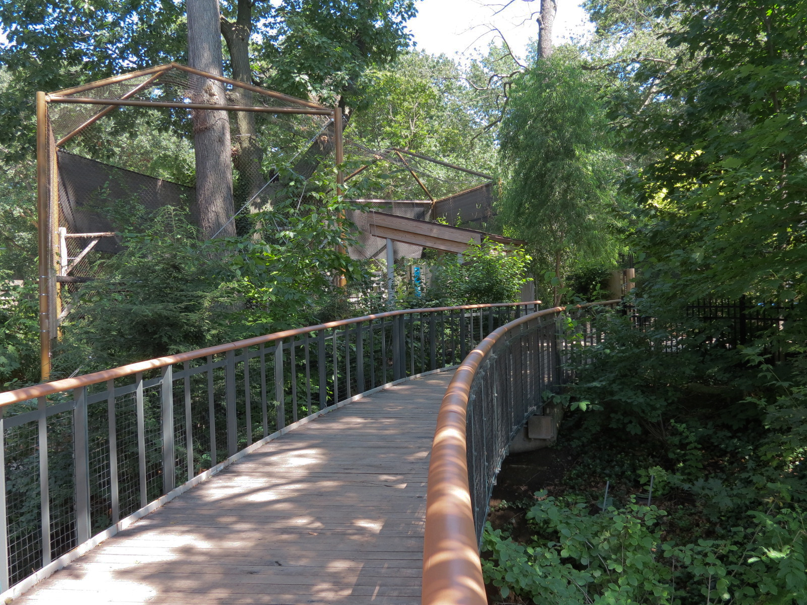 Bald Eagle and Golden Eagle Exhibit