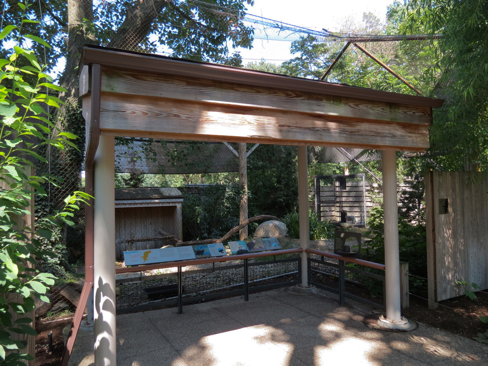 Bald Eagle and Golden Eagle Exhibit