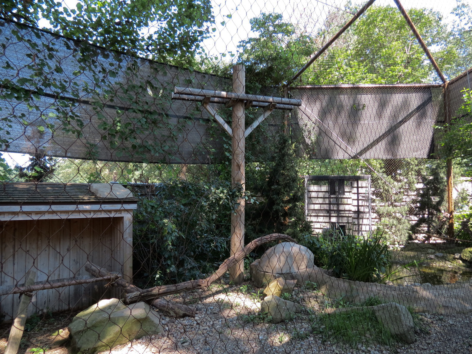 Bald Eagle and Golden Eagle Exhibit