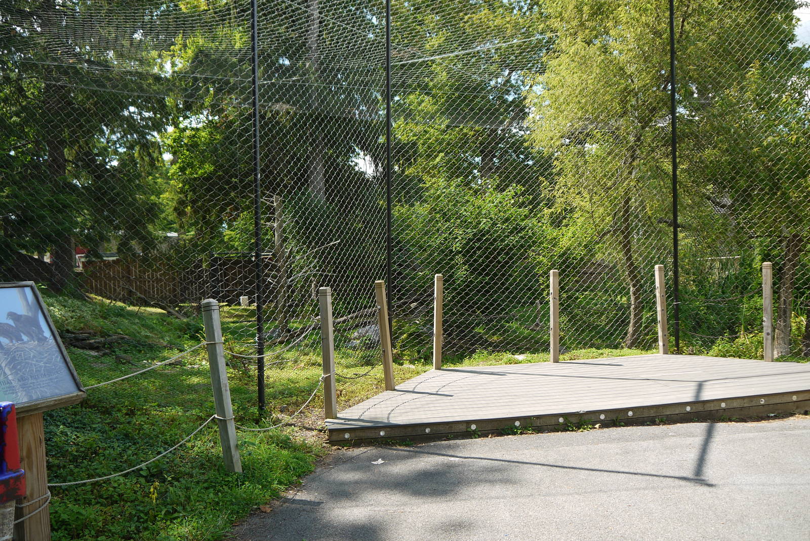 Bald Eagle and Raven Exhibit