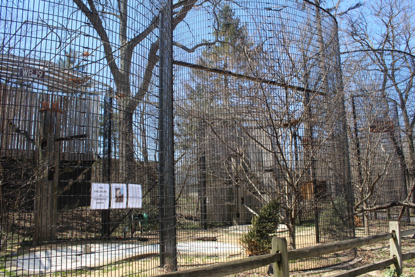 Bald Eagle Avairy (Temp. Empty)