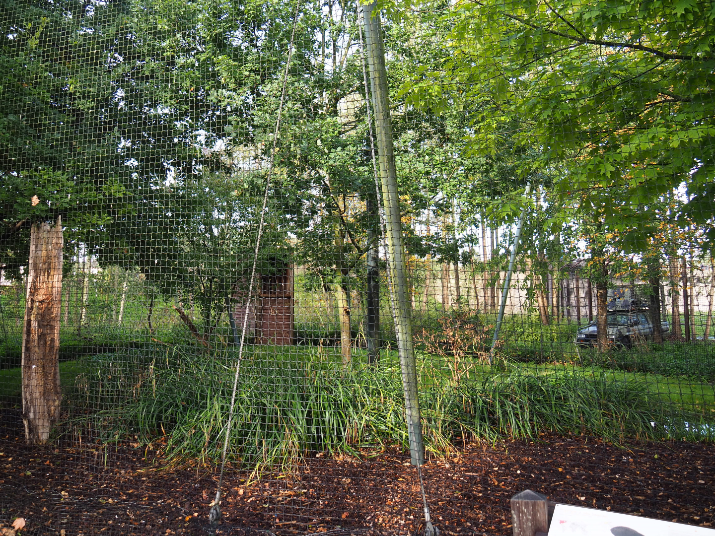 Bald eagle aviary, 2019-10-04