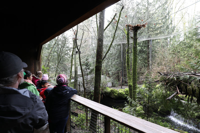 bald eagle aviary (excellent)