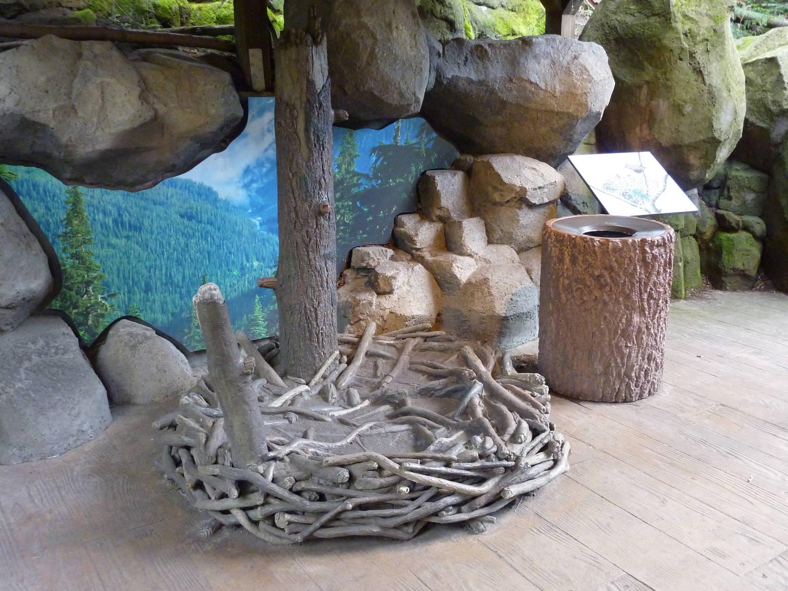 Bald Eagle Aviary - Fake Nest