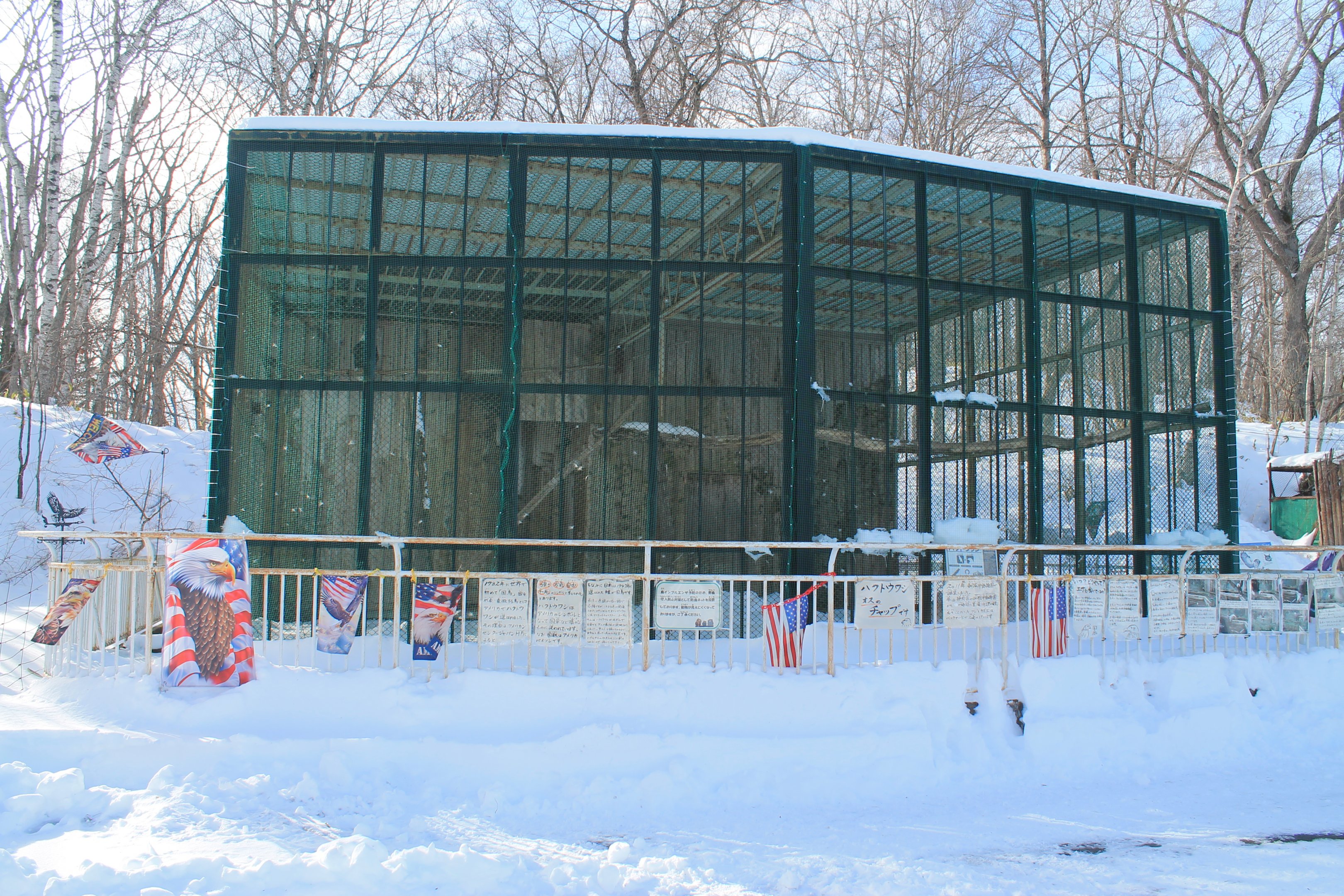Bald Eagle aviary, Kushiro Zoo