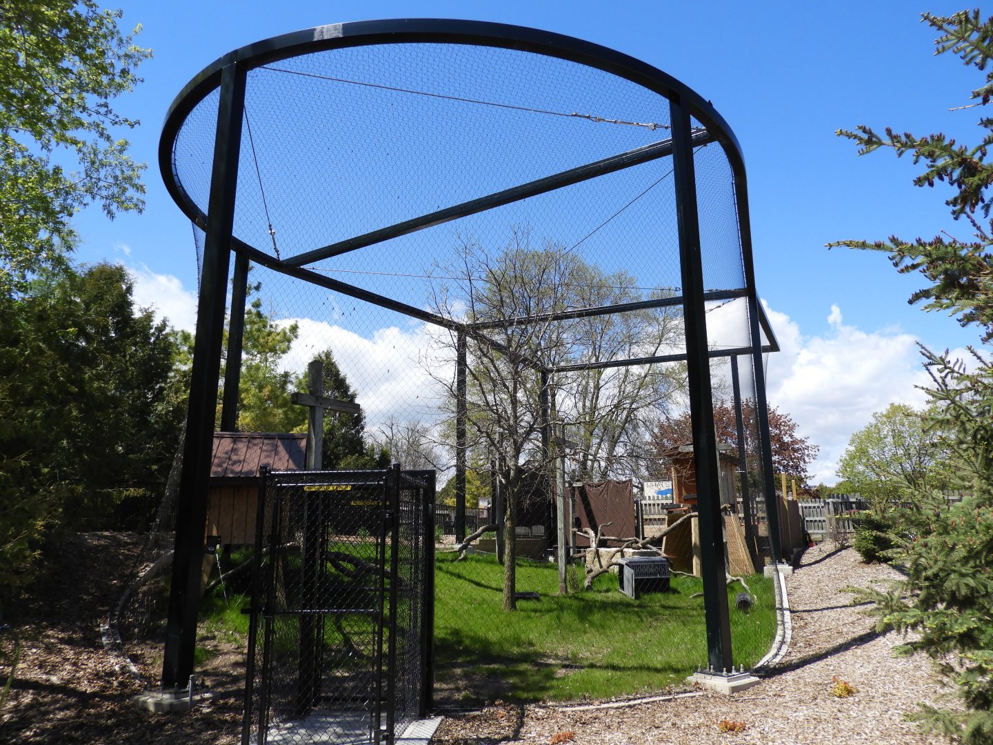 Bald Eagle Aviary - New in 2021