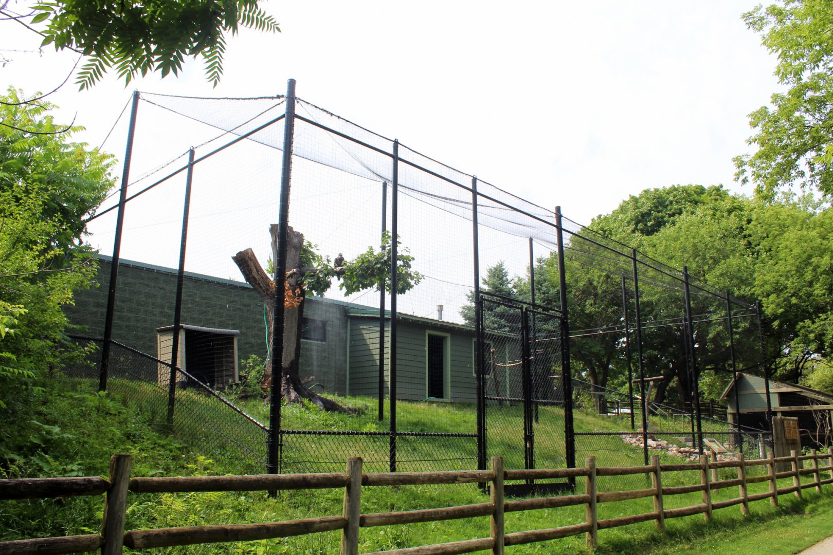Bald Eagle Aviary (New in 2022)