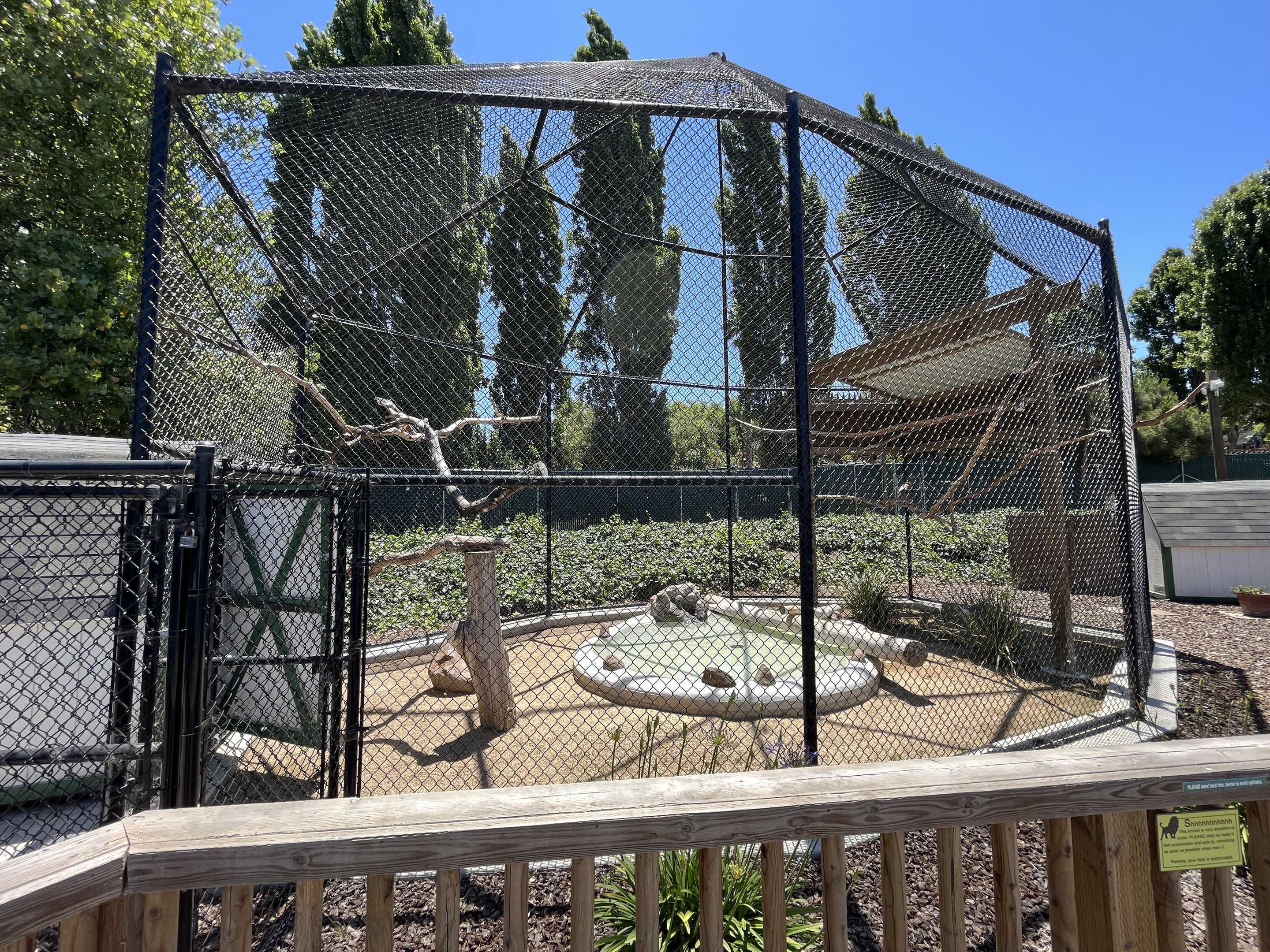 Bald Eagle Aviary - New