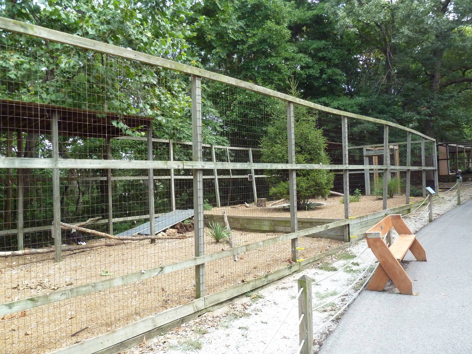 Bald Eagle Aviary