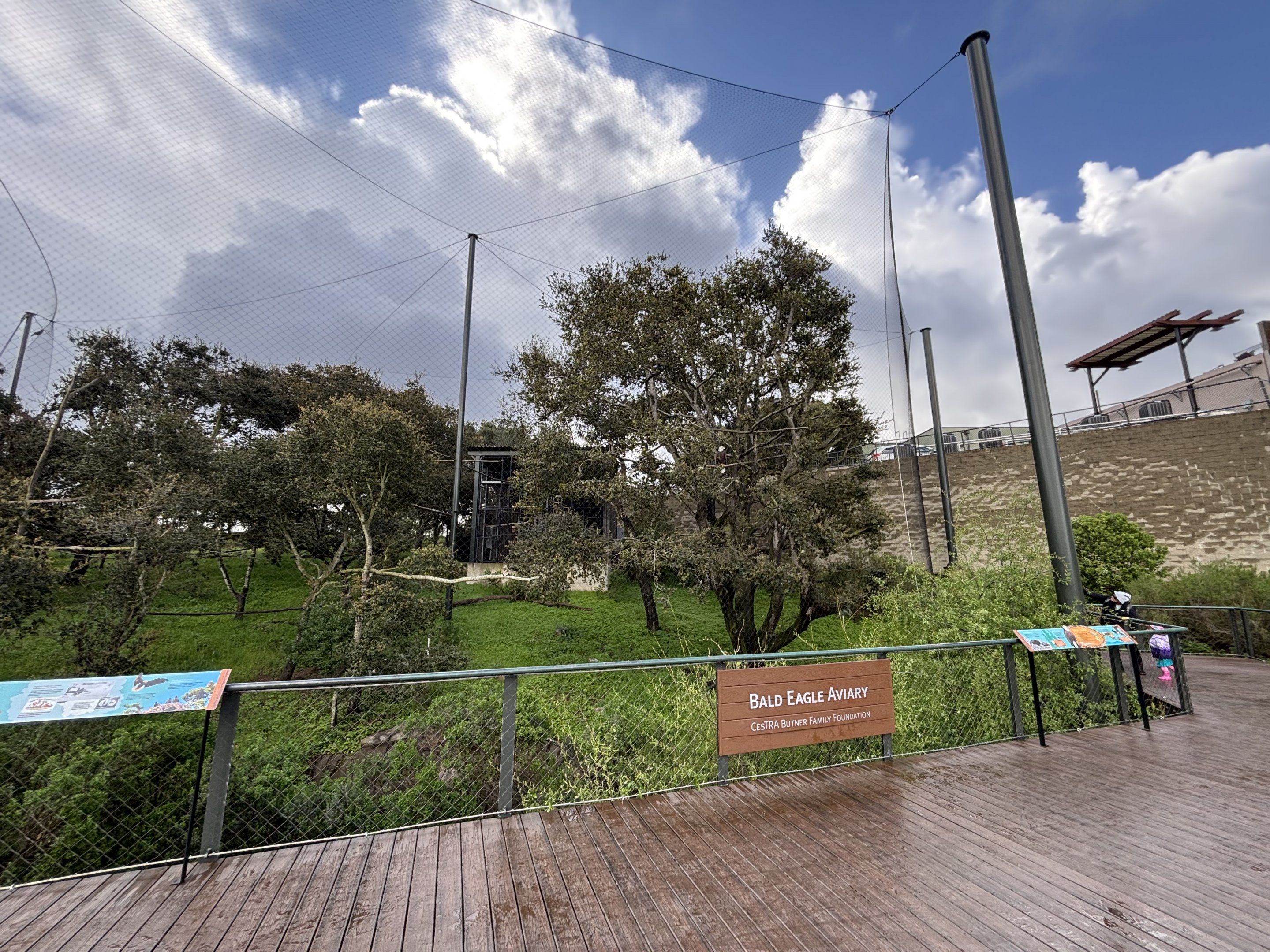 Bald Eagle Aviary