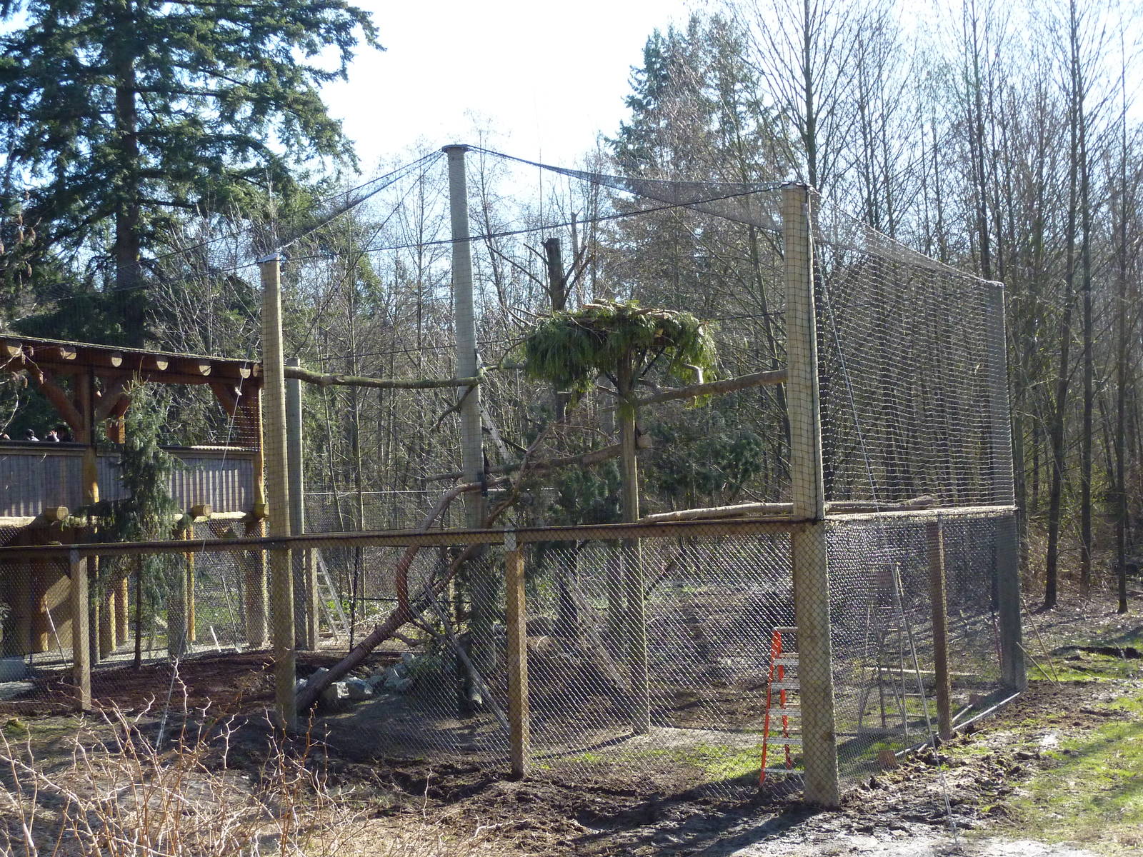 Bald Eagle Aviary