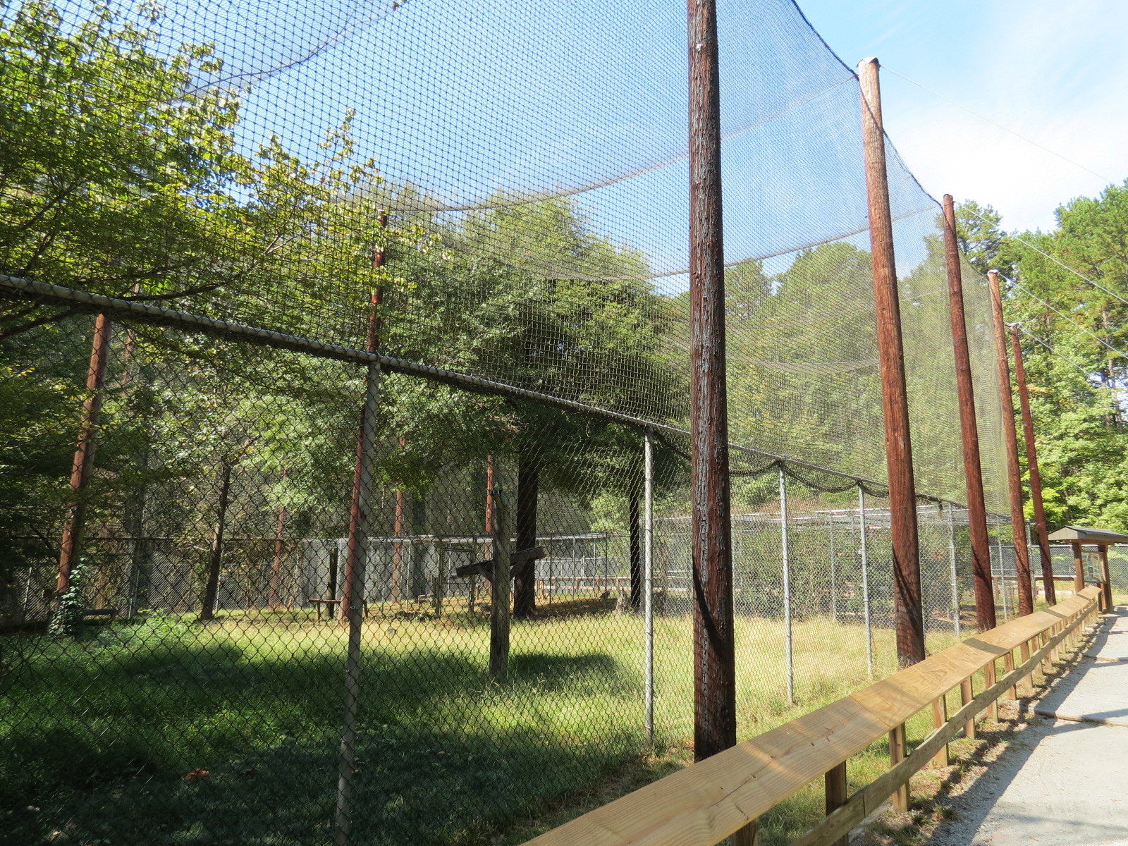 Bald Eagle Exhibit 2