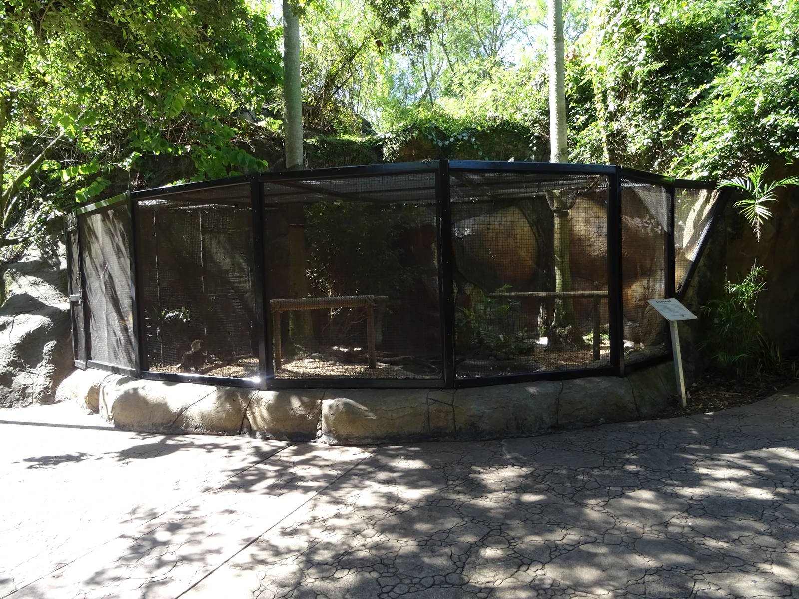 Bald Eagle Exhibit at Busch Gardens Tampa