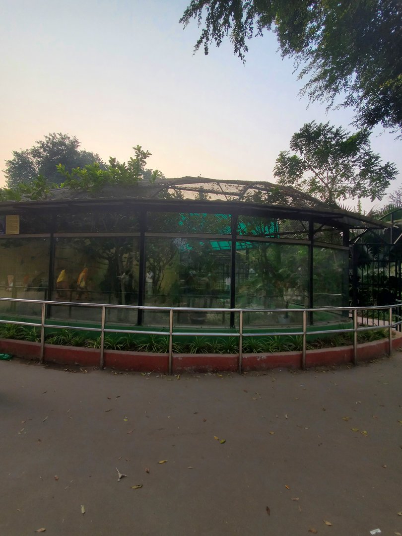 Bald Eagle Exhibit - January 2023