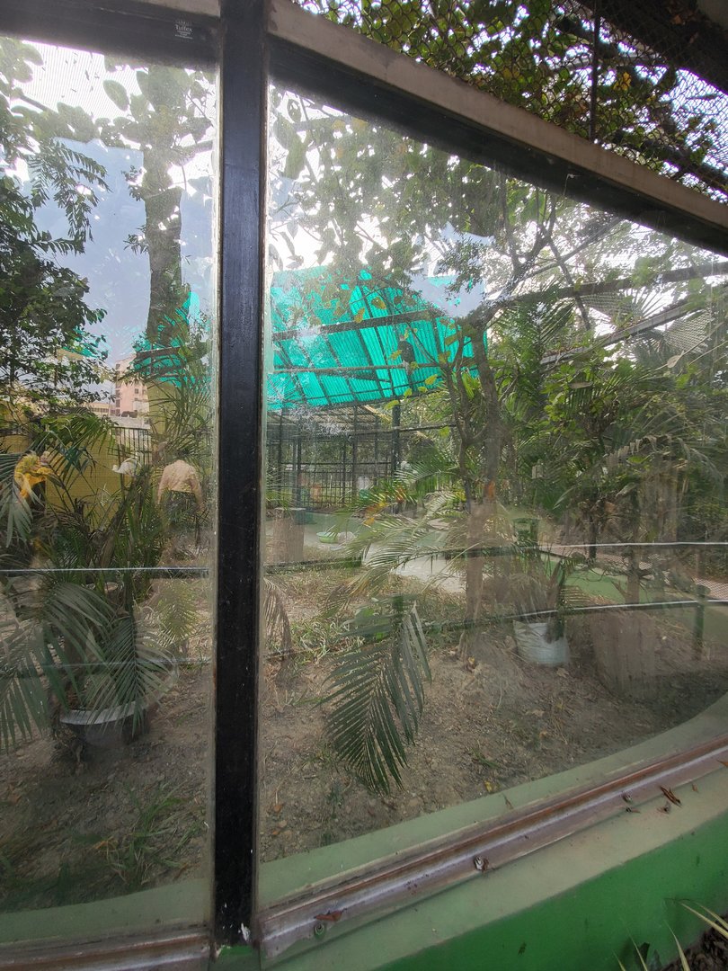 Bald Eagle Exhibit - January 2023