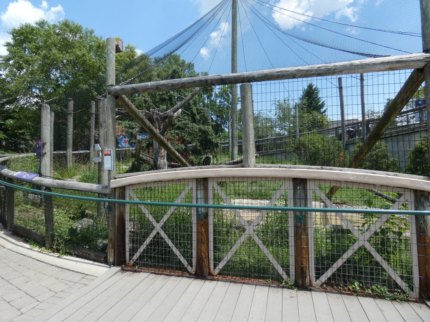 Bald Eagle Exhibit - July 2021