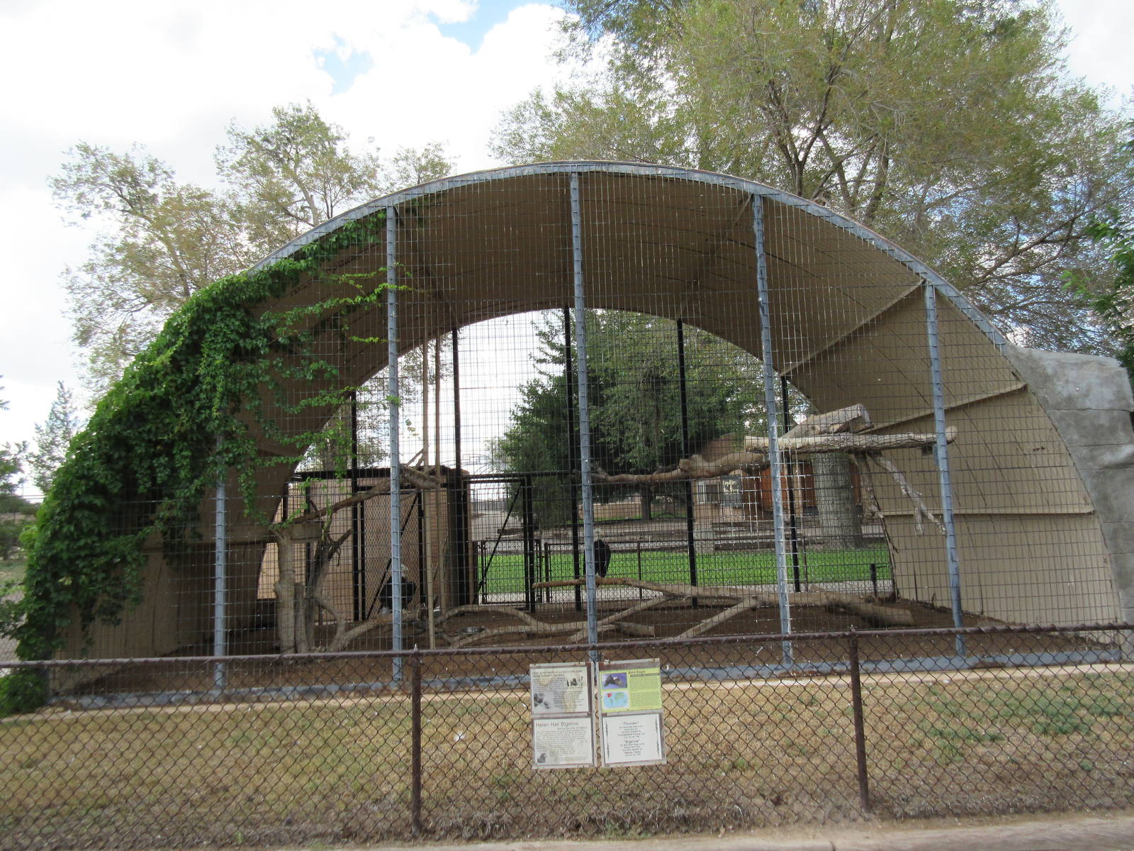 Bald Eagle Exhibit - oddly shaped