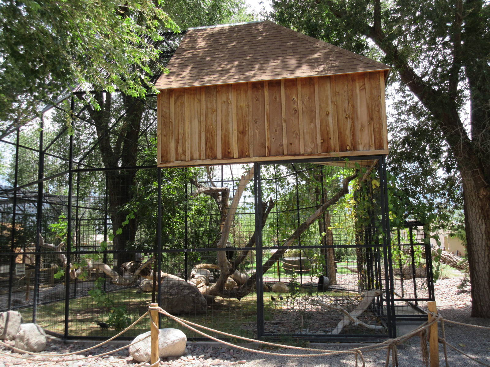 Bald Eagle Exhibit - side view