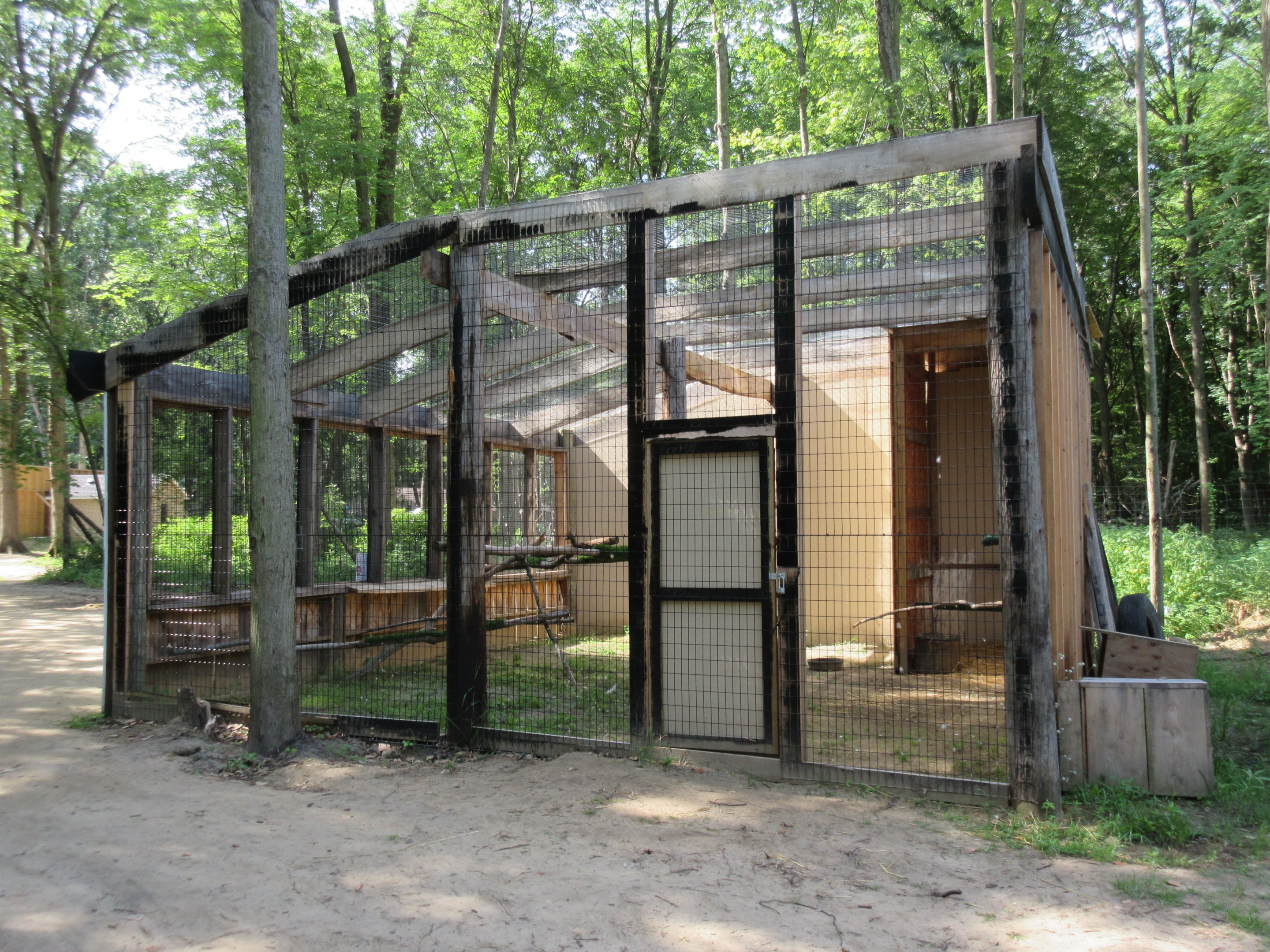 Bald Eagle Exhibit - Side View