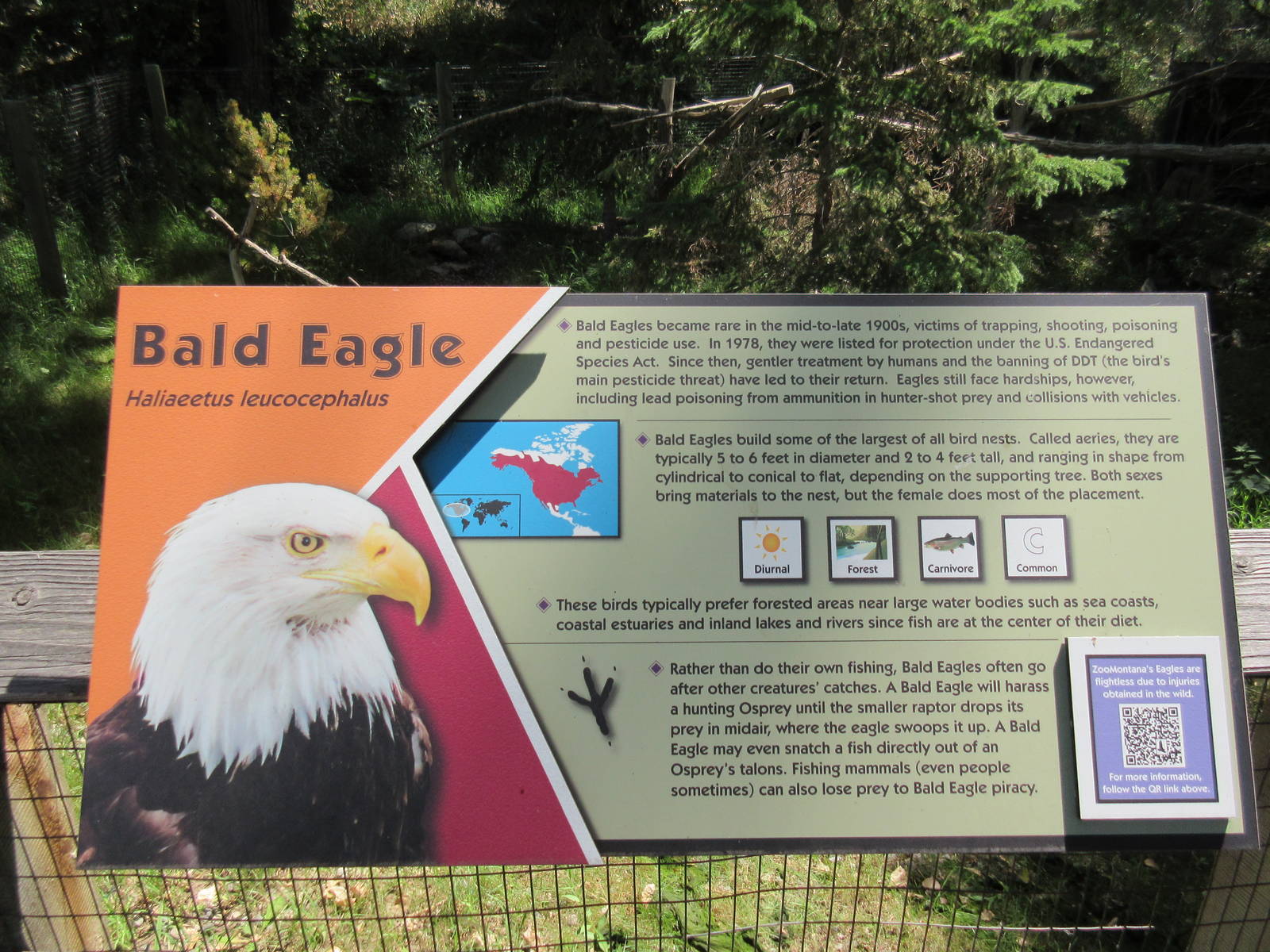 Bald Eagle Exhibit - Sign