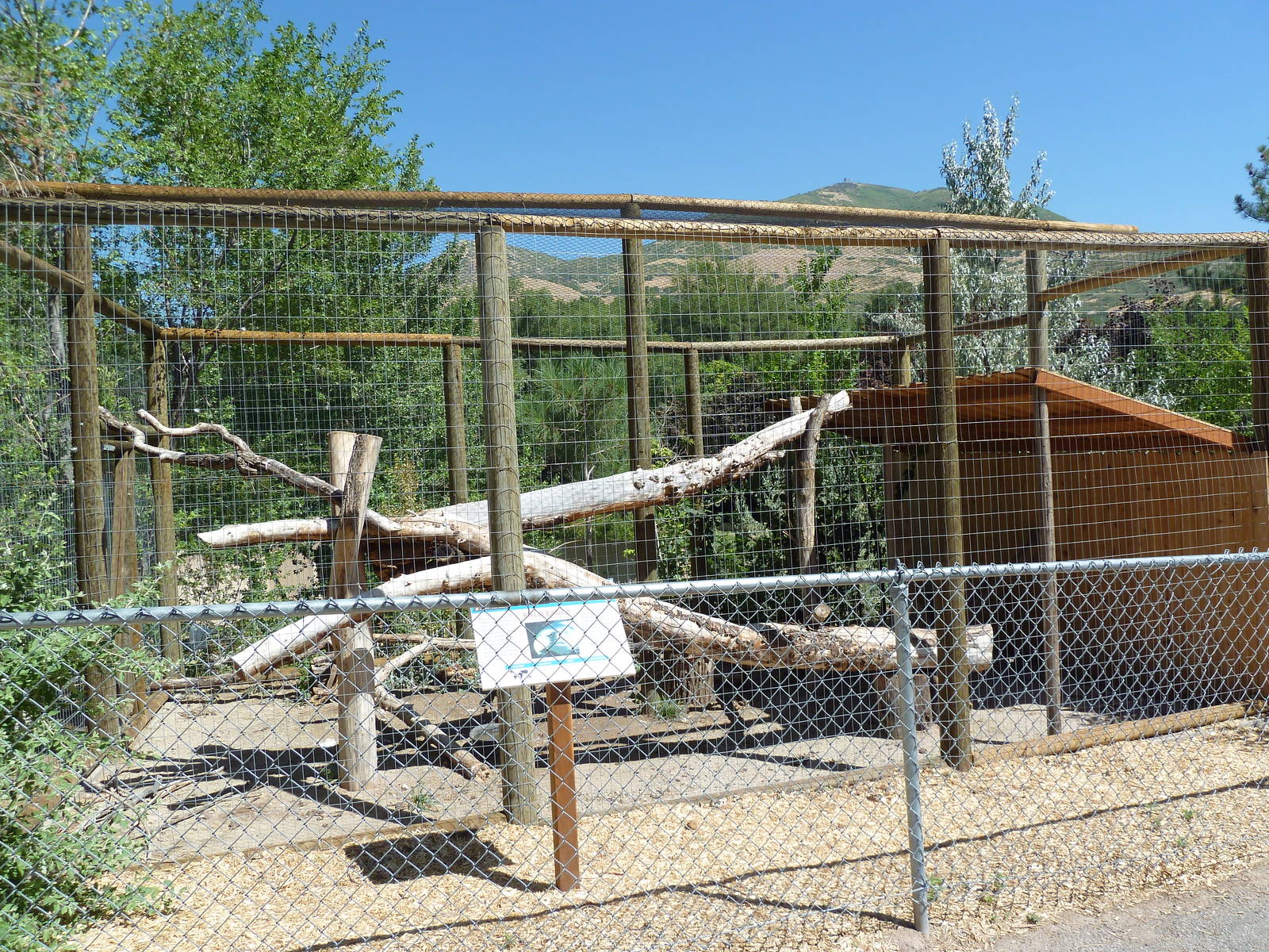 Bald Eagle Exhibit