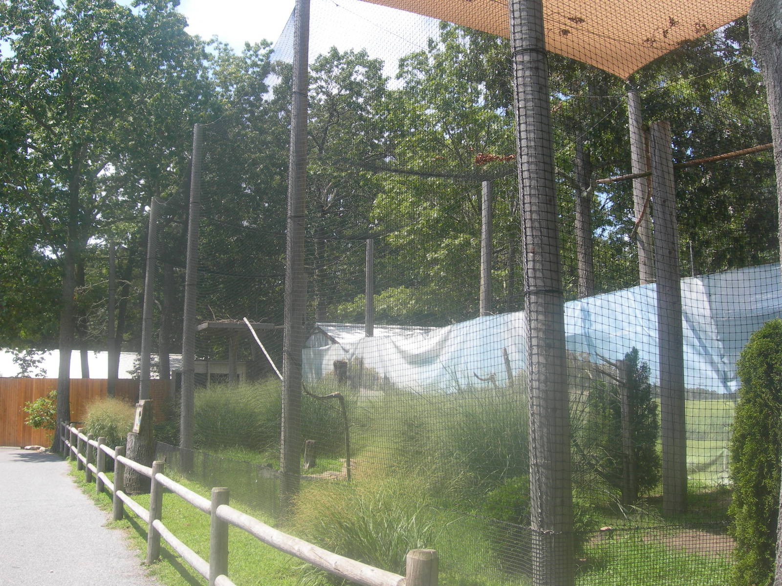 Bald Eagle Exhibit