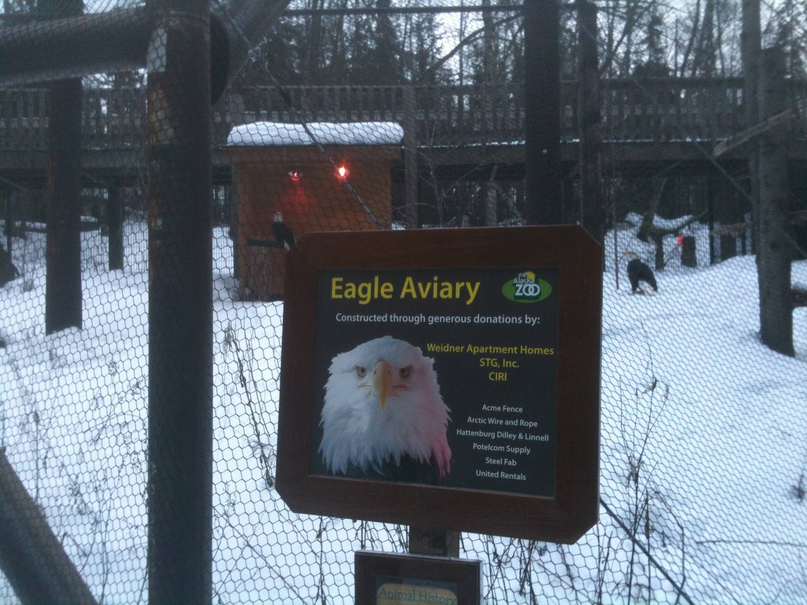 Bald Eagle Exhibit