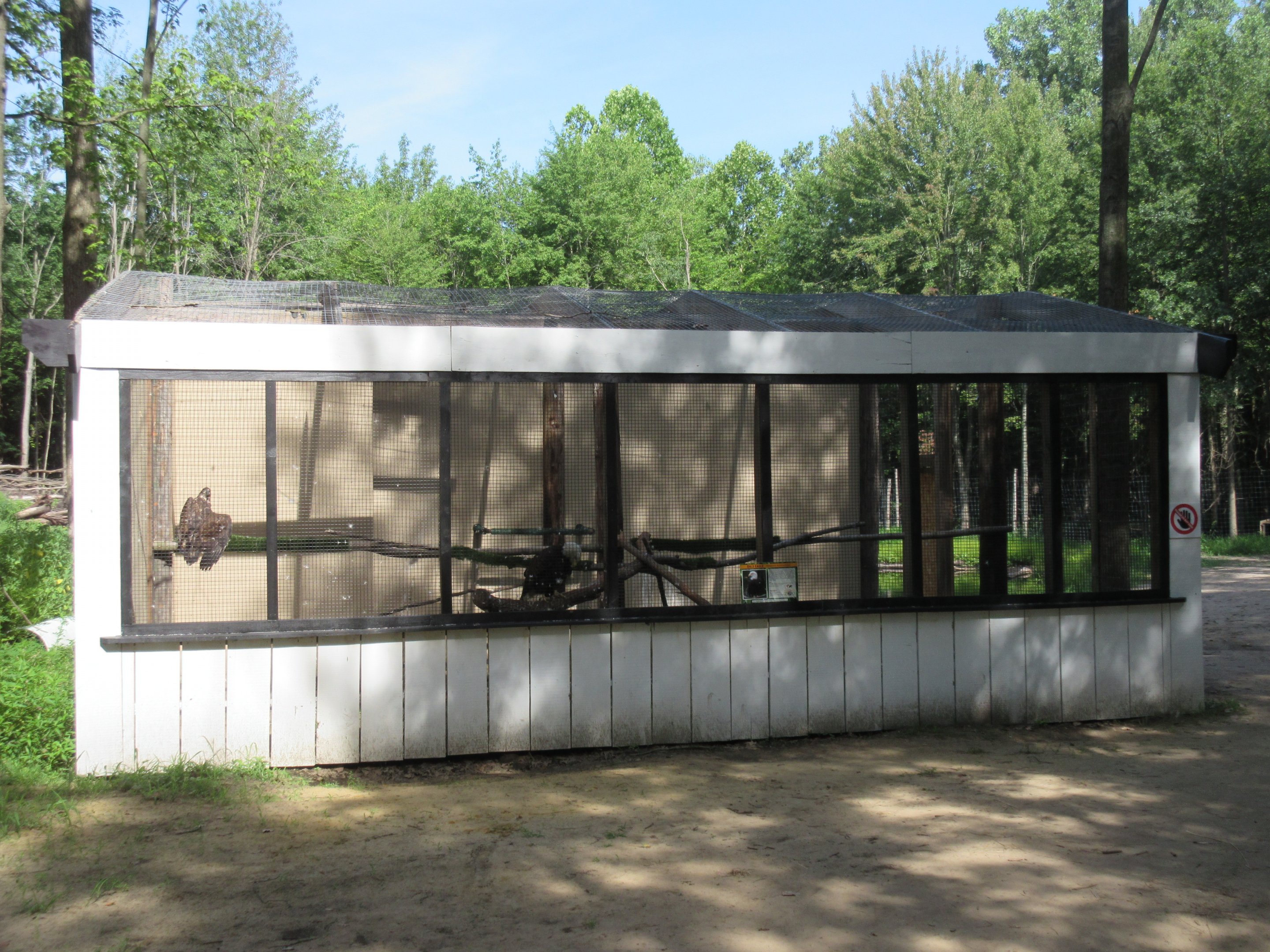 Bald Eagle Exhibit
