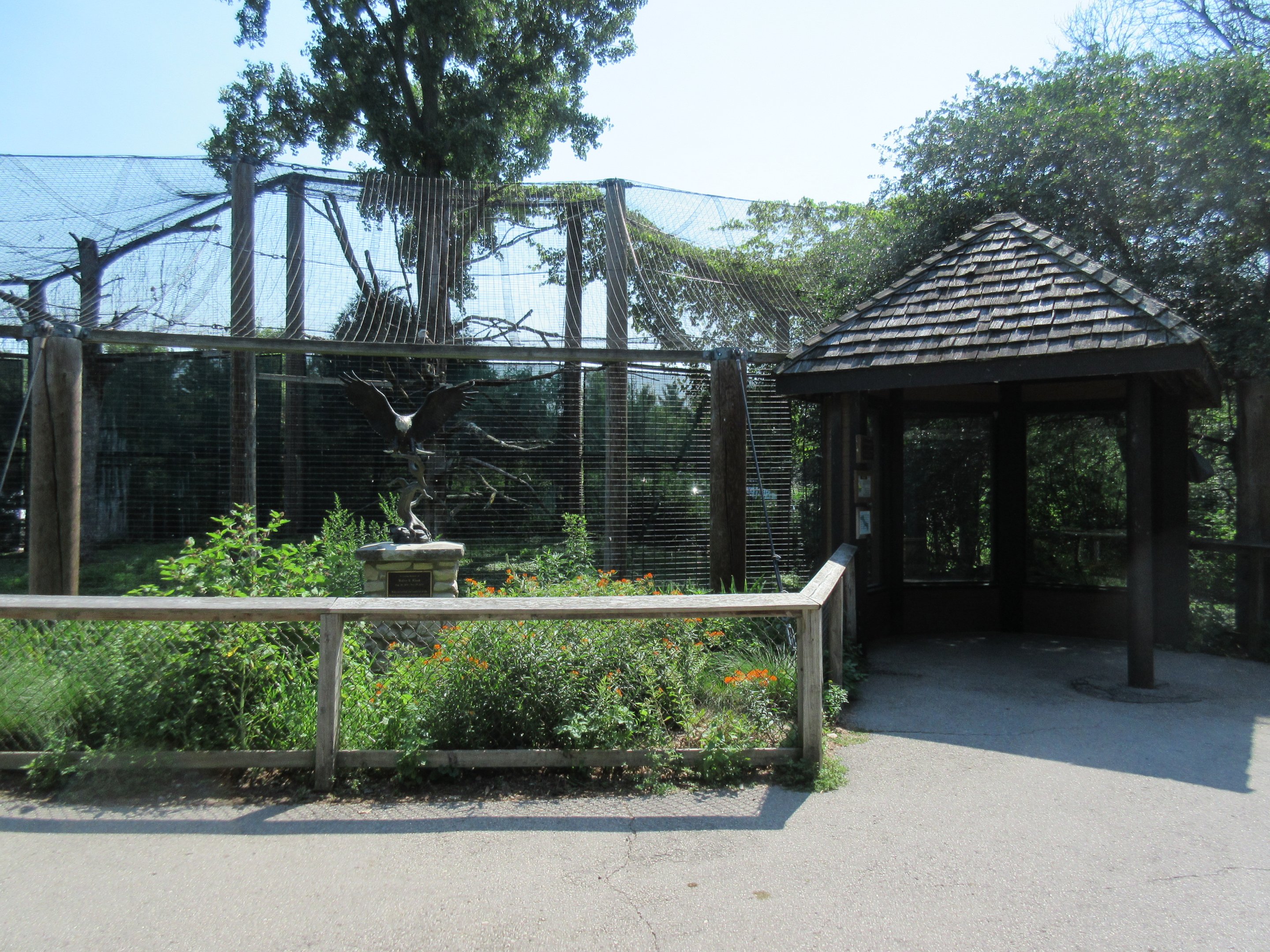 Bald Eagle Exhibit