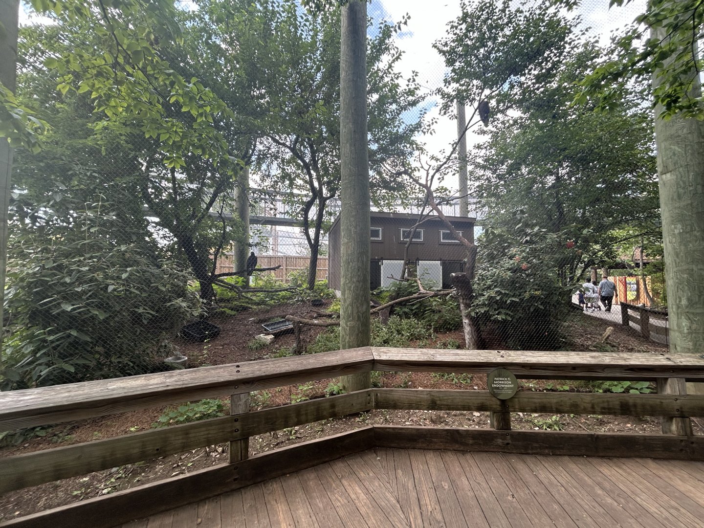 Bald Eagle & Golden Eagle Aviary - Forests