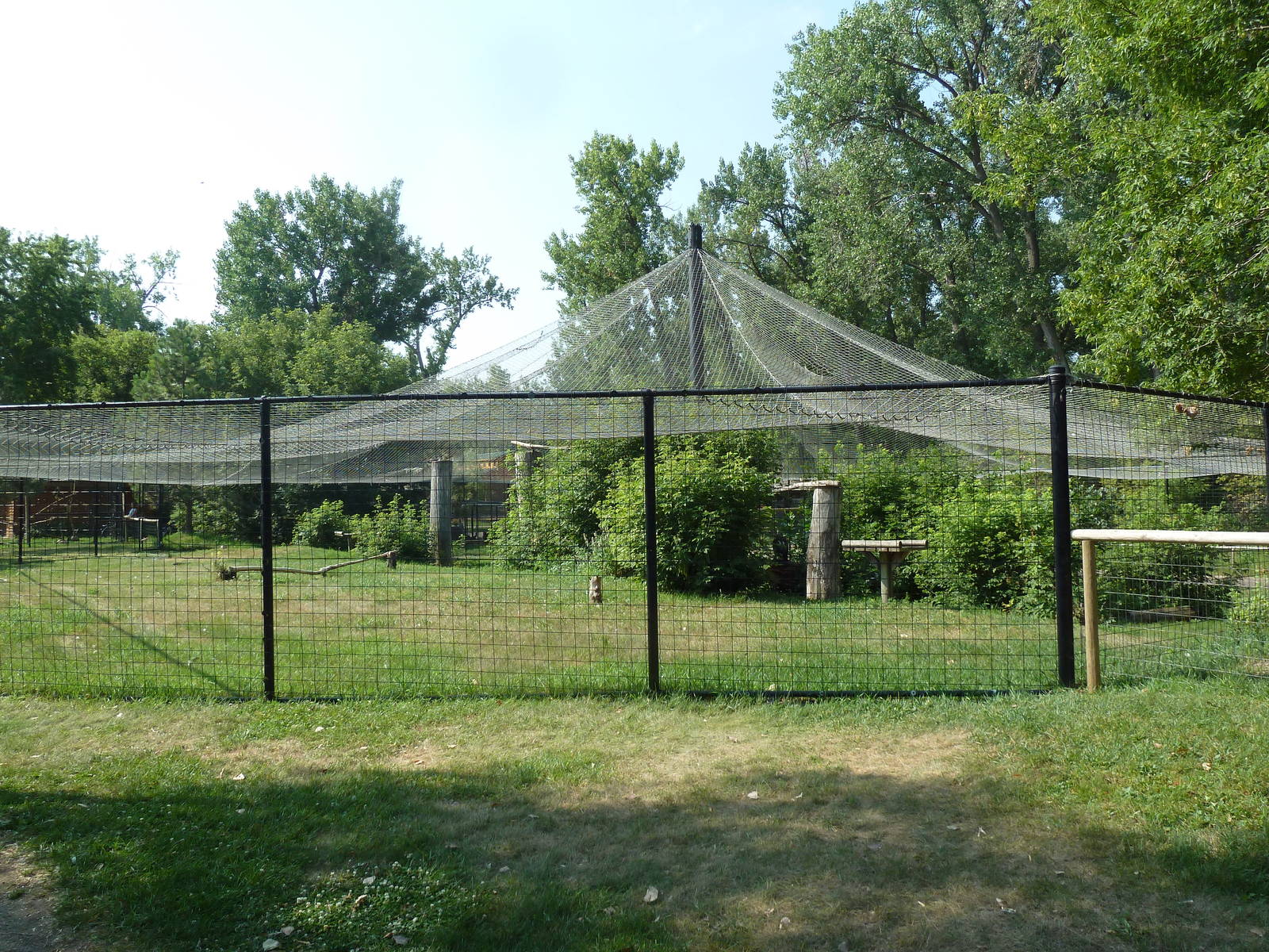 Bald Eagle/Golden Eagle Aviary