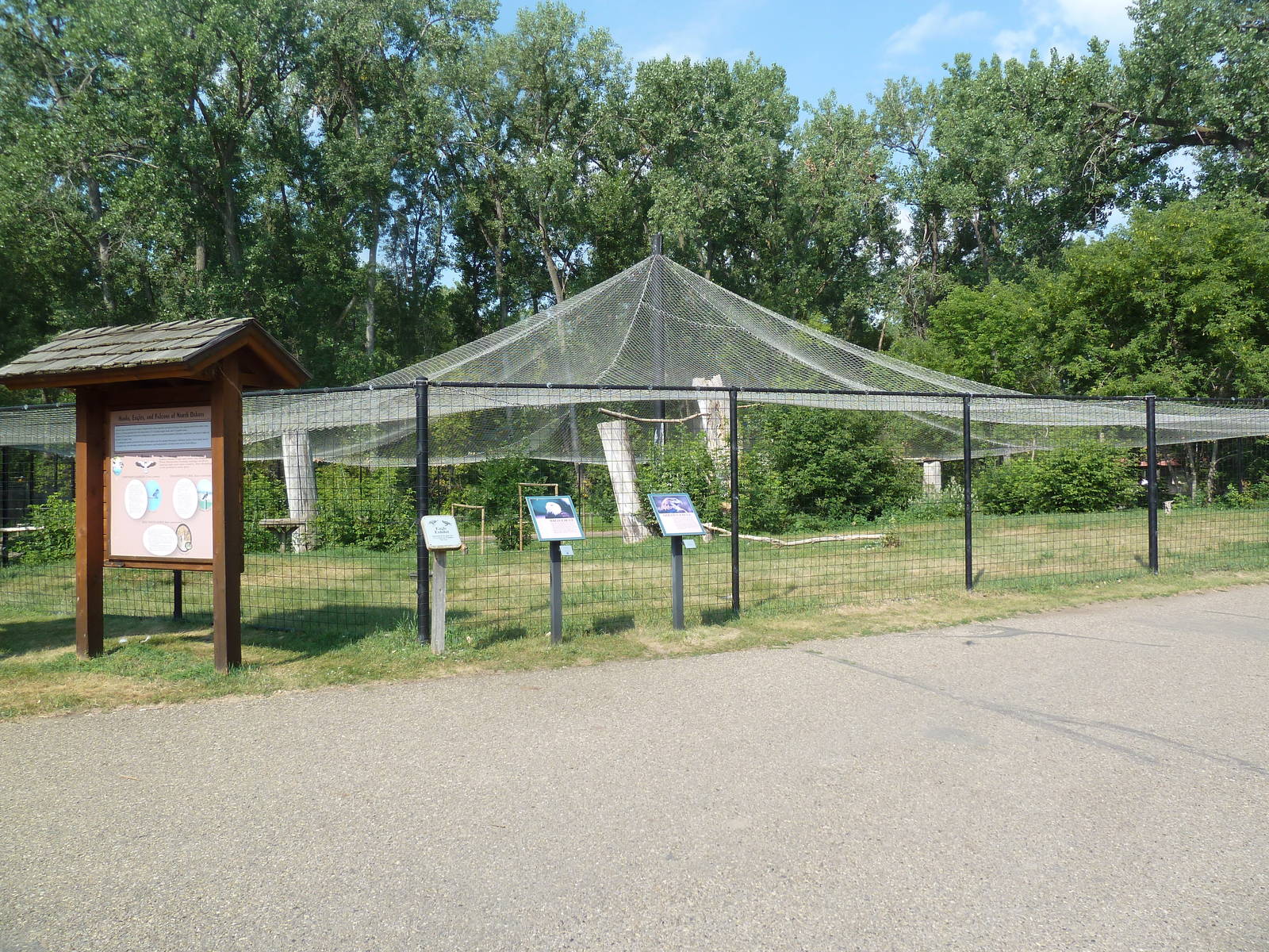 Bald Eagle/Golden Eagle Aviary