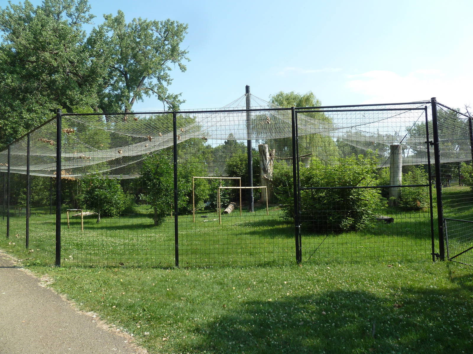 Bald Eagle/Golden Eagle Aviary