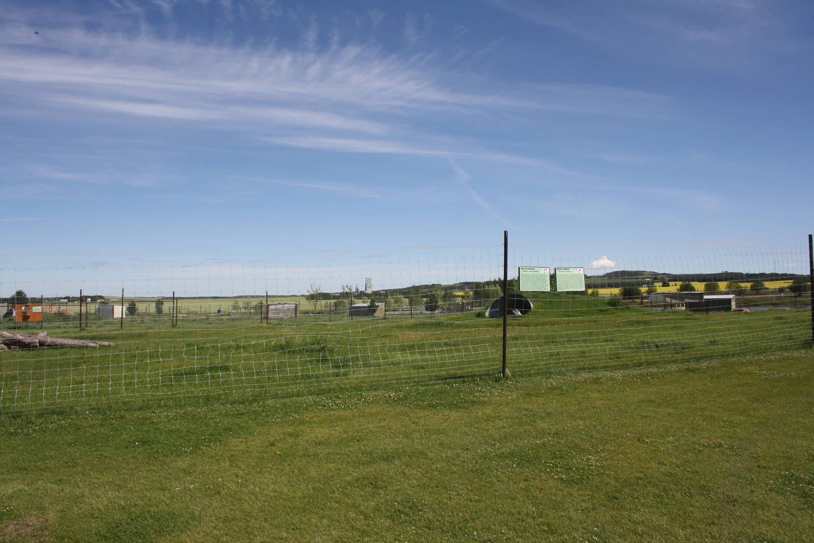 Bald Eagle/Mule Deer Exhibit