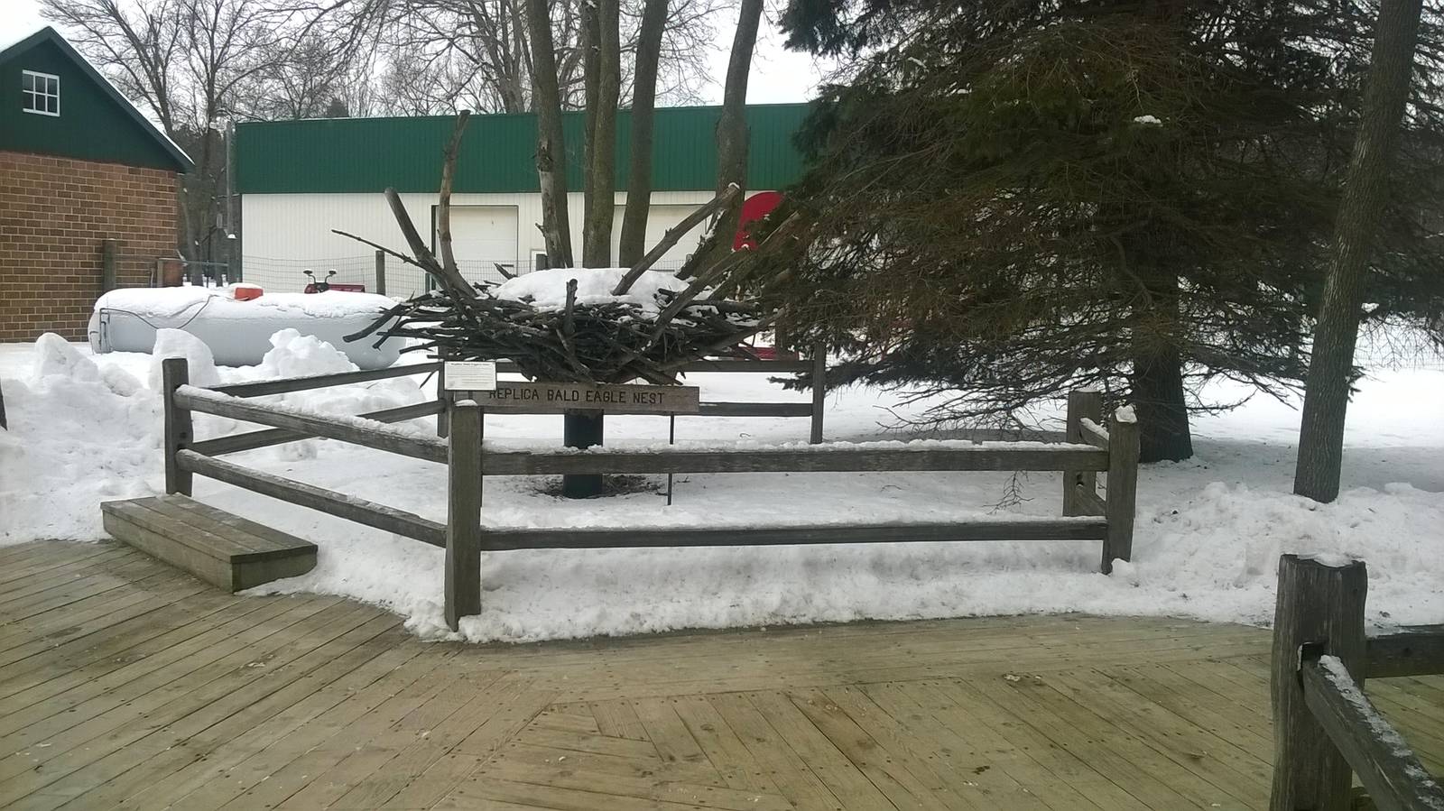 Bald Eagle Nest Replica