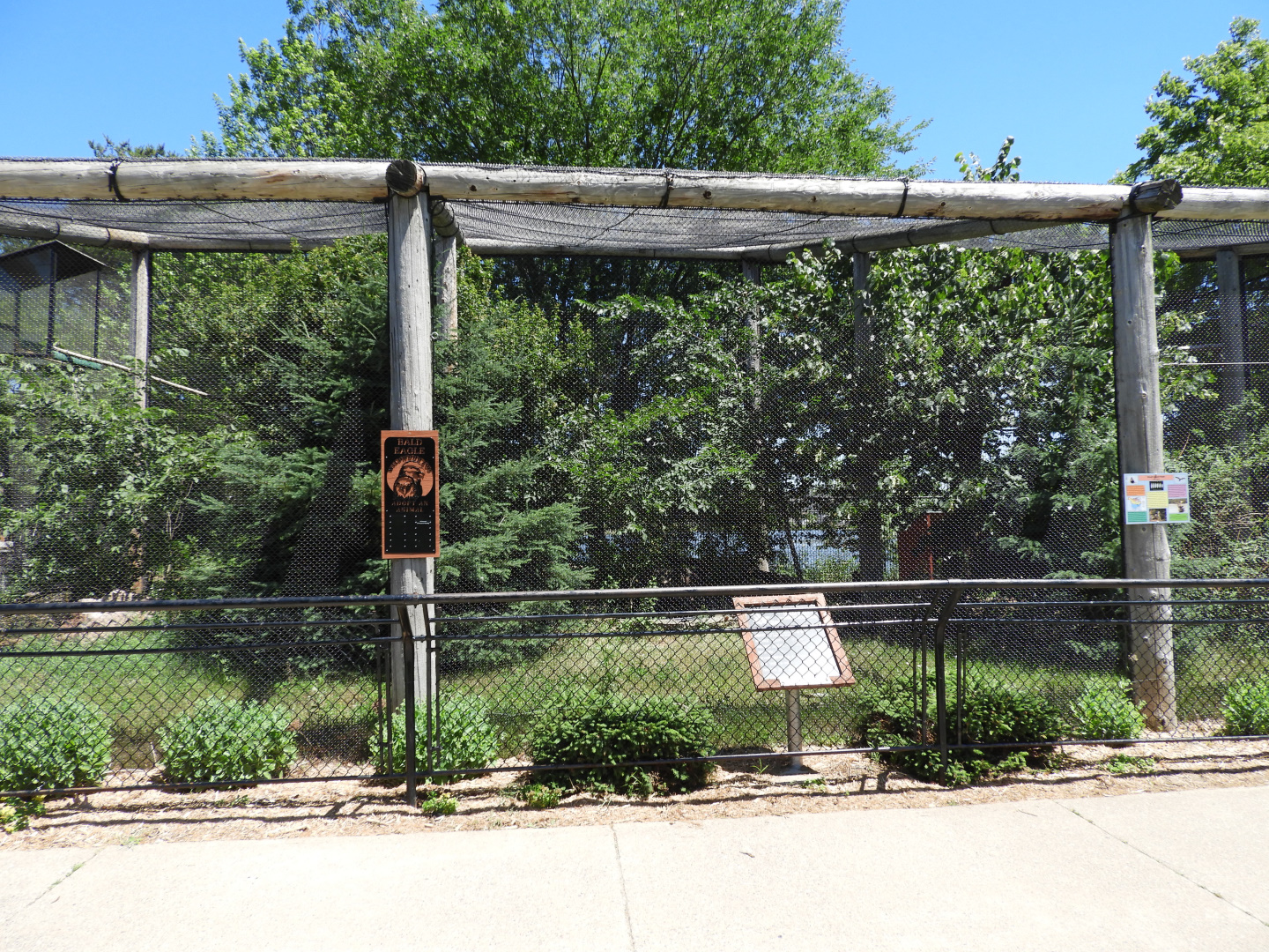 Bald Eagle/Rough-Legged Hawk exhibit - Wildwood Zoo