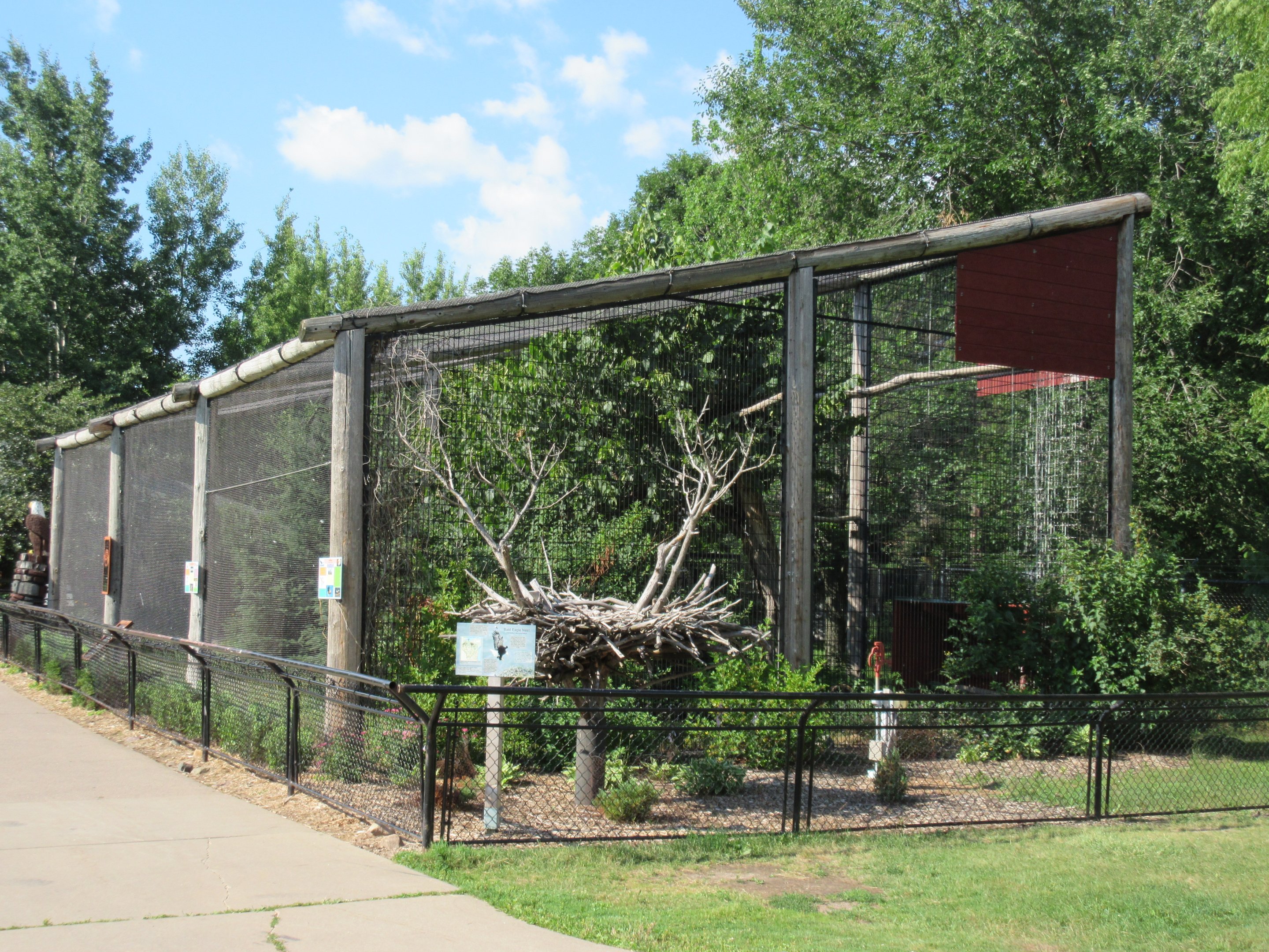 Bald Eagle/Rough-legged Hawk Exhibit