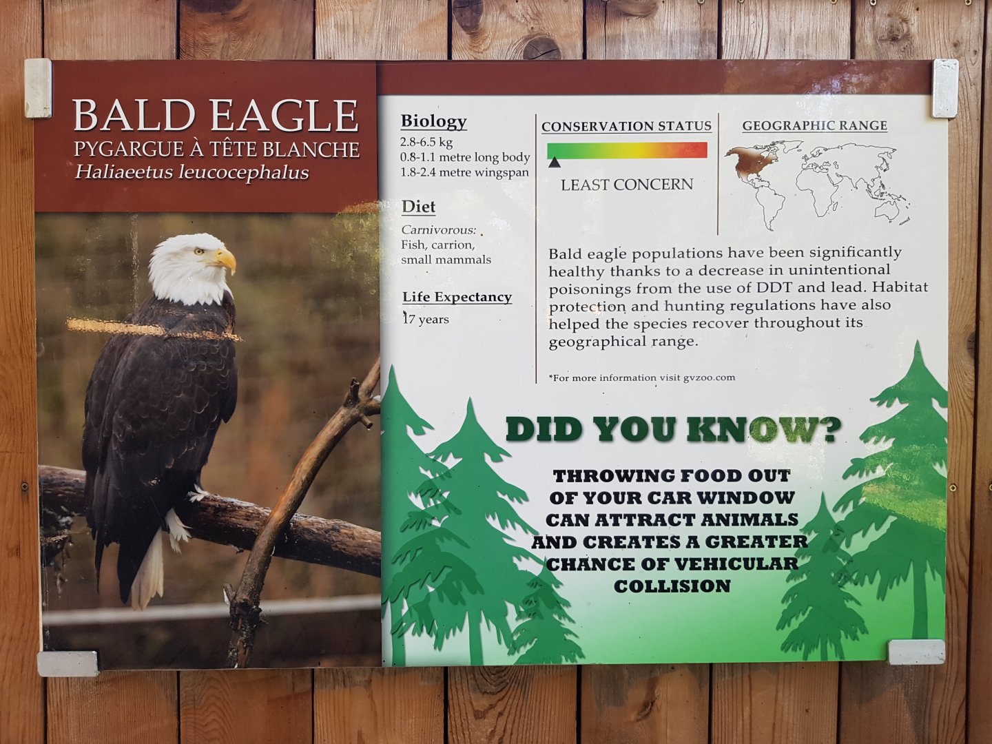 Bald Eagle Sign