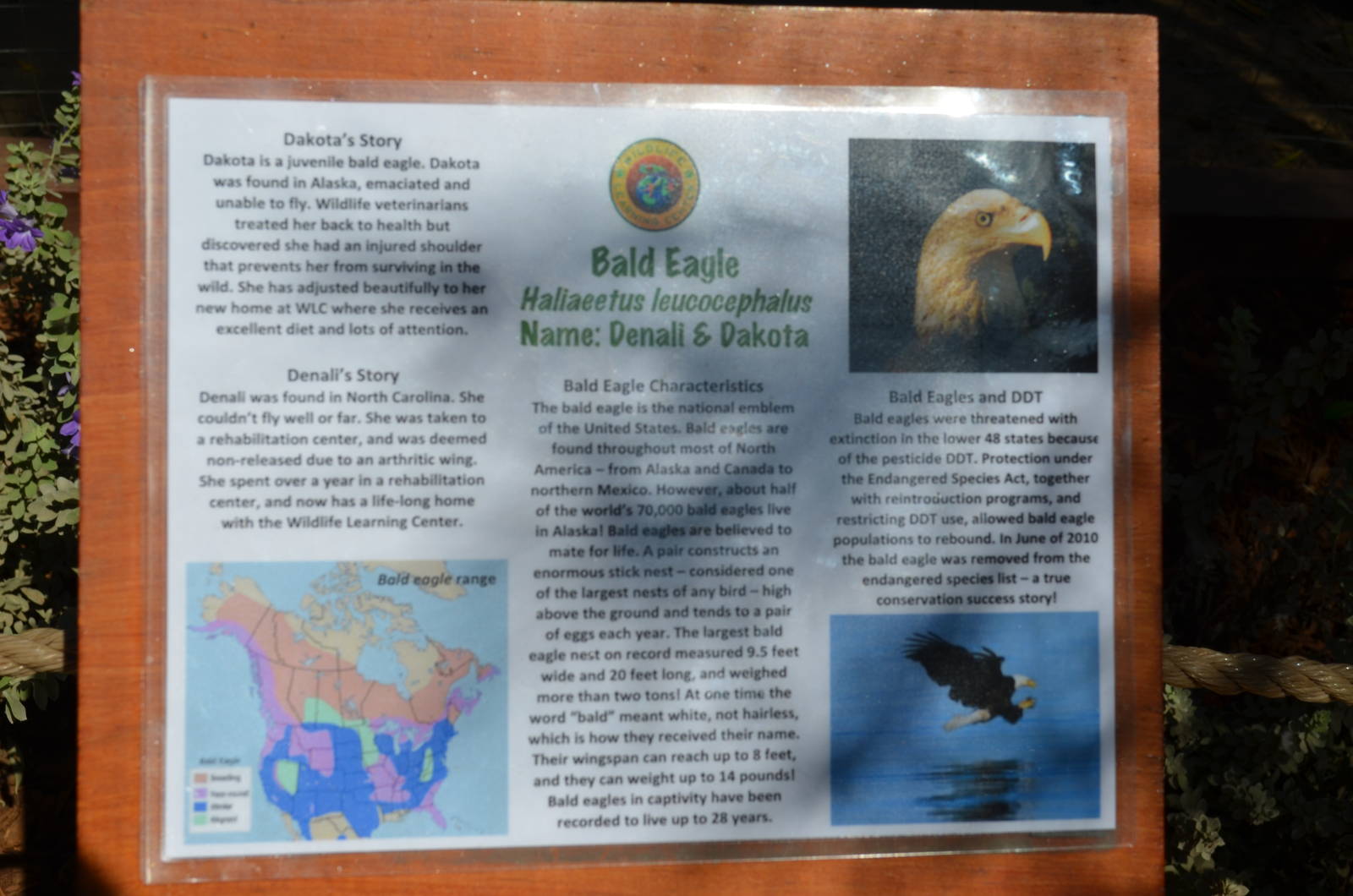 Bald Eagle Signage
