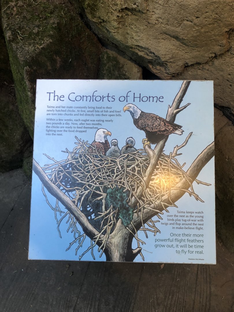 Bald Eagle Signage