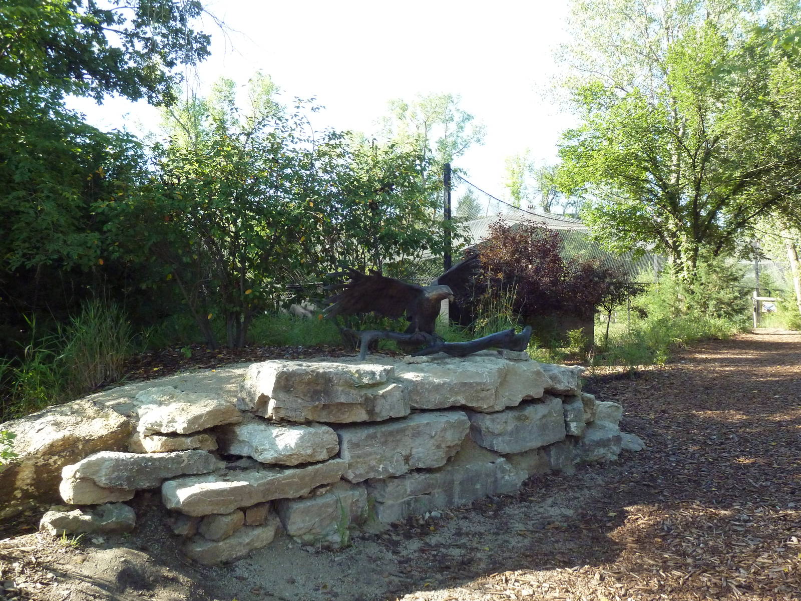 Bald Eagle Statue + Aviary