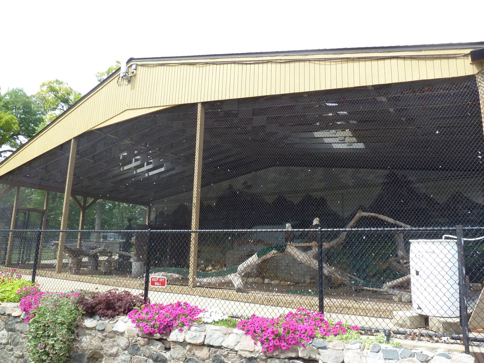 Bald Eagle/Turkey Vulture Exhibit