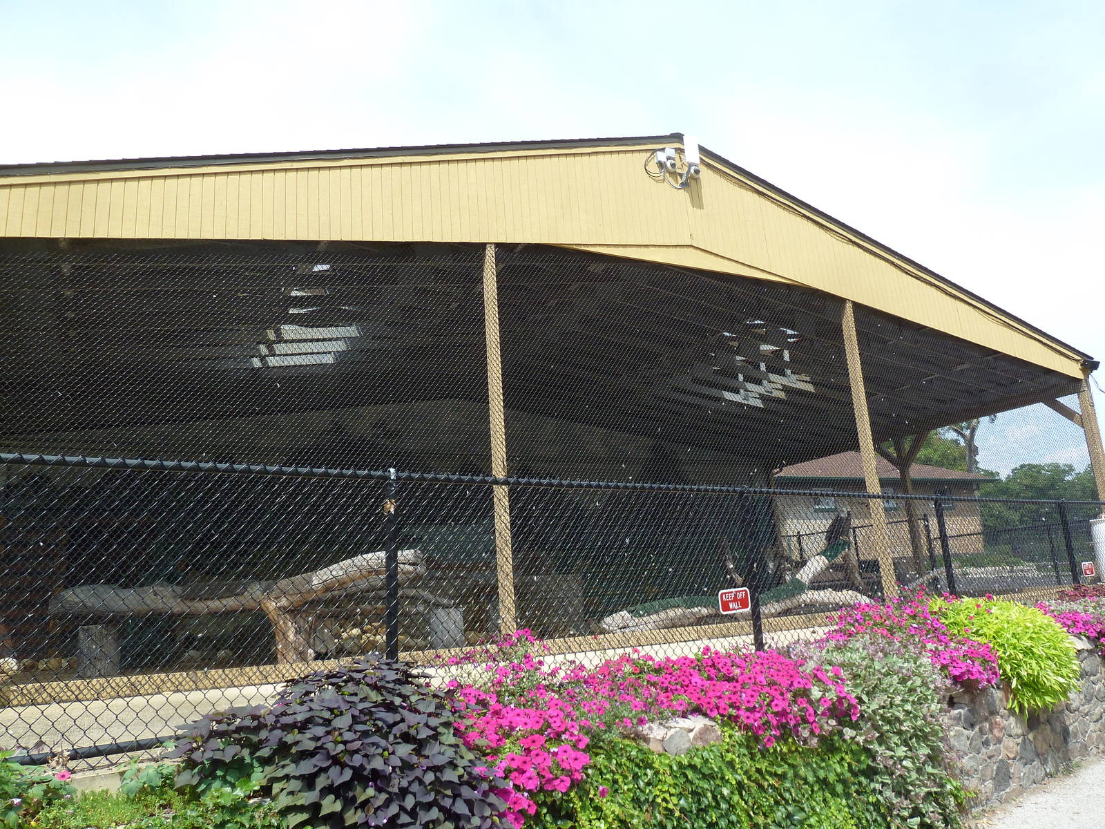 Bald Eagle/Turkey Vulture Exhibit