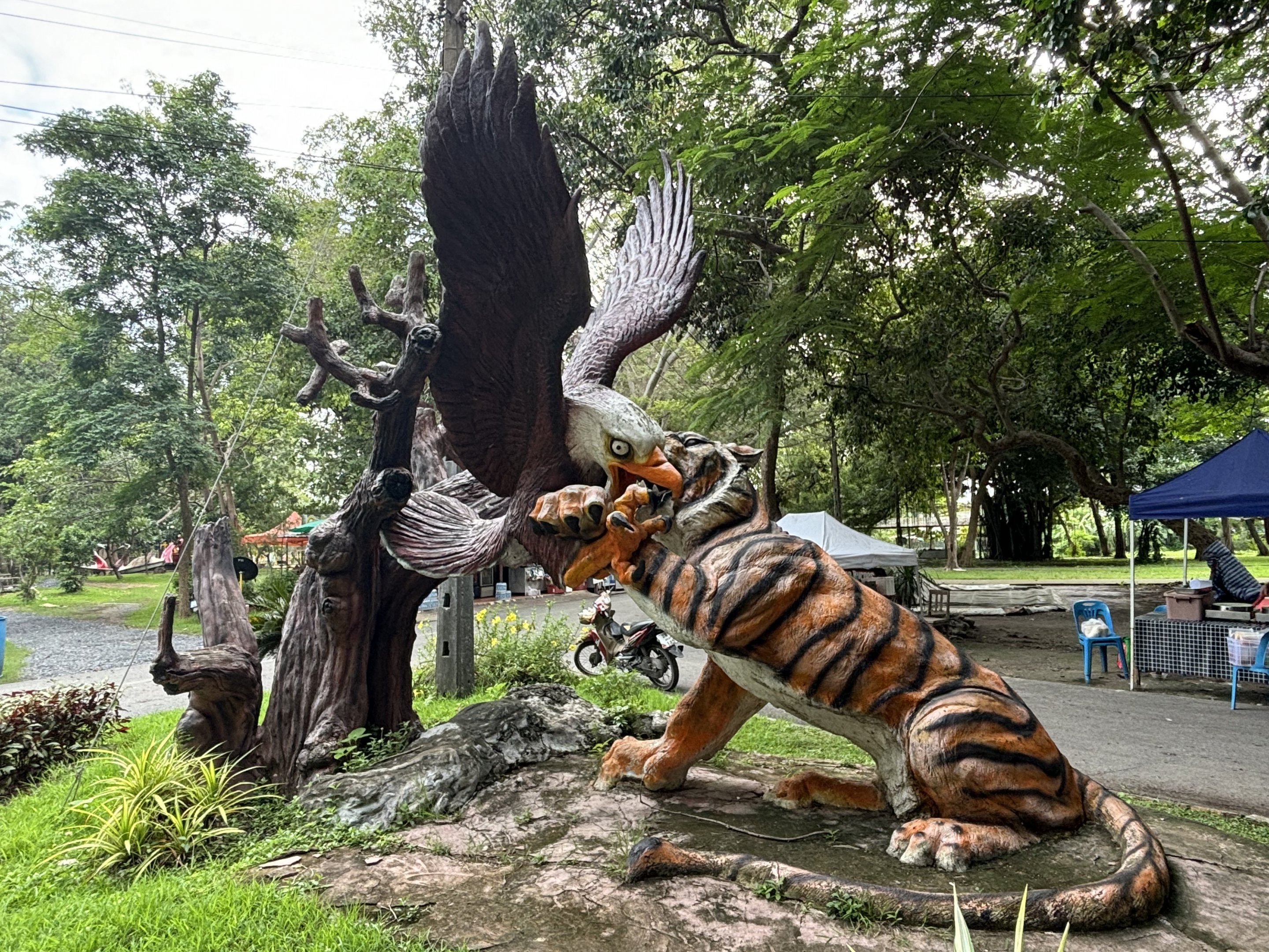Bald Eagle v Tiger Sculpture - Lopburi Zoo