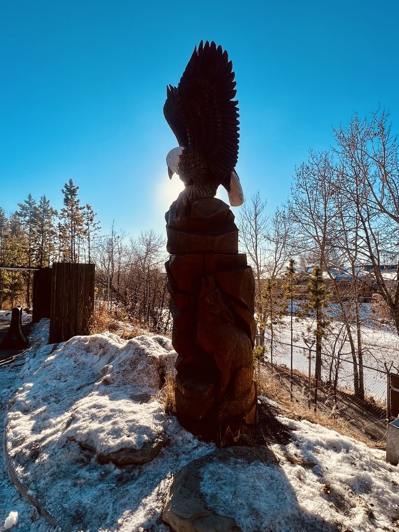 Bald Eagle with Coyote totem.