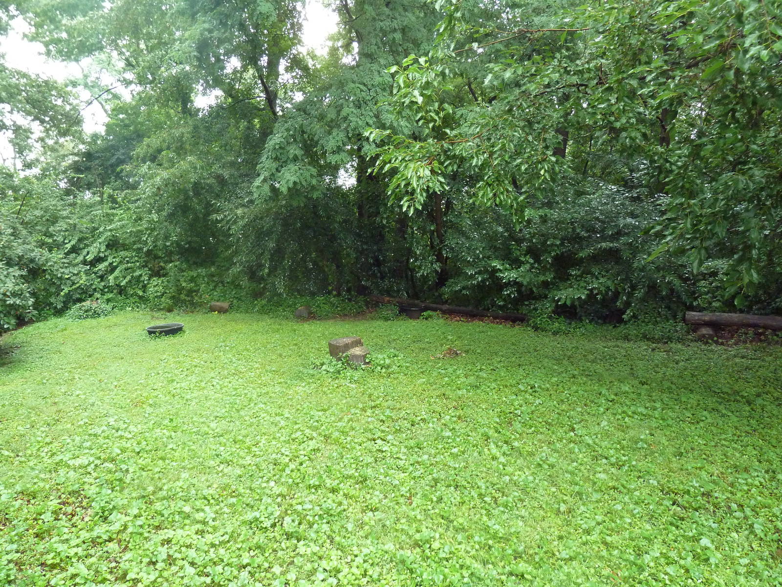 Bald Eagle Yard (currently empty)